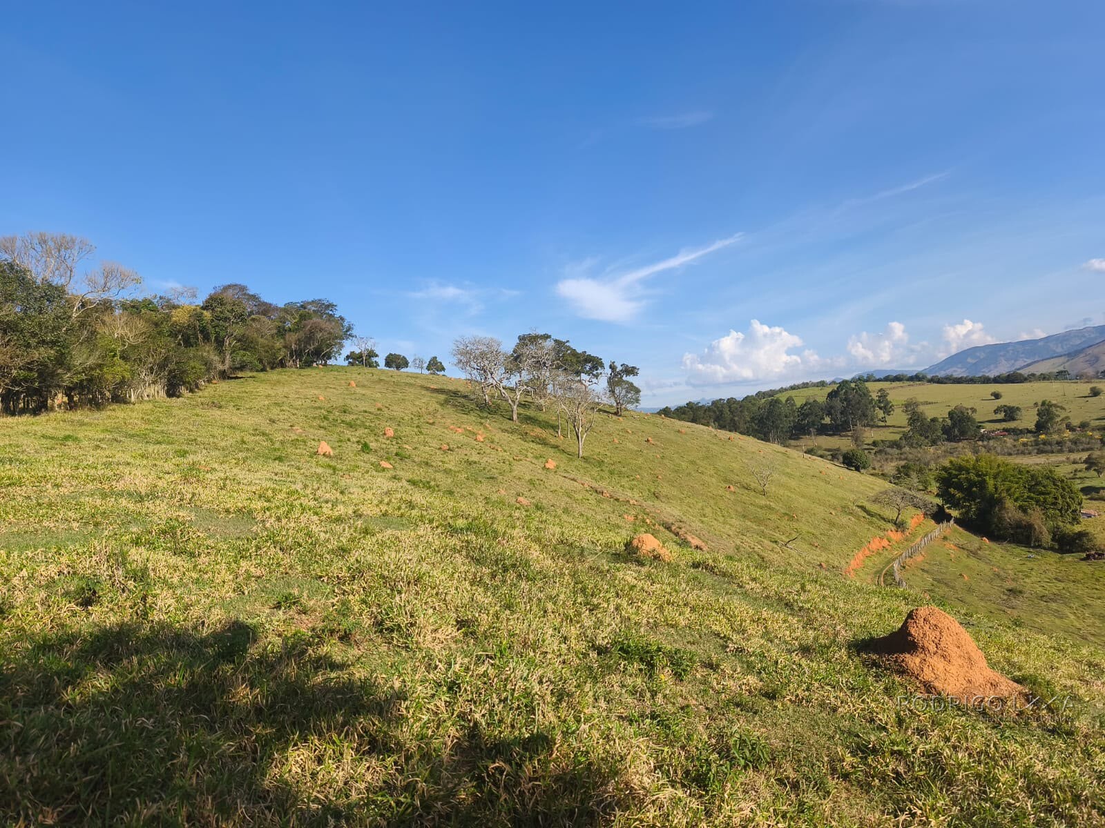 Área rural para venda em Dom Viçoso MG