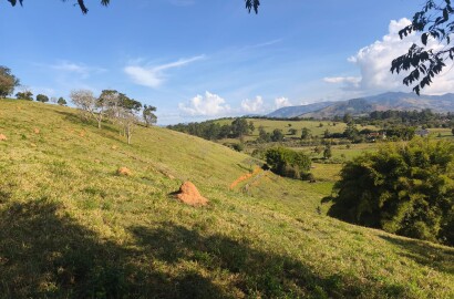 Área rural para venda em Dom Viçoso MG