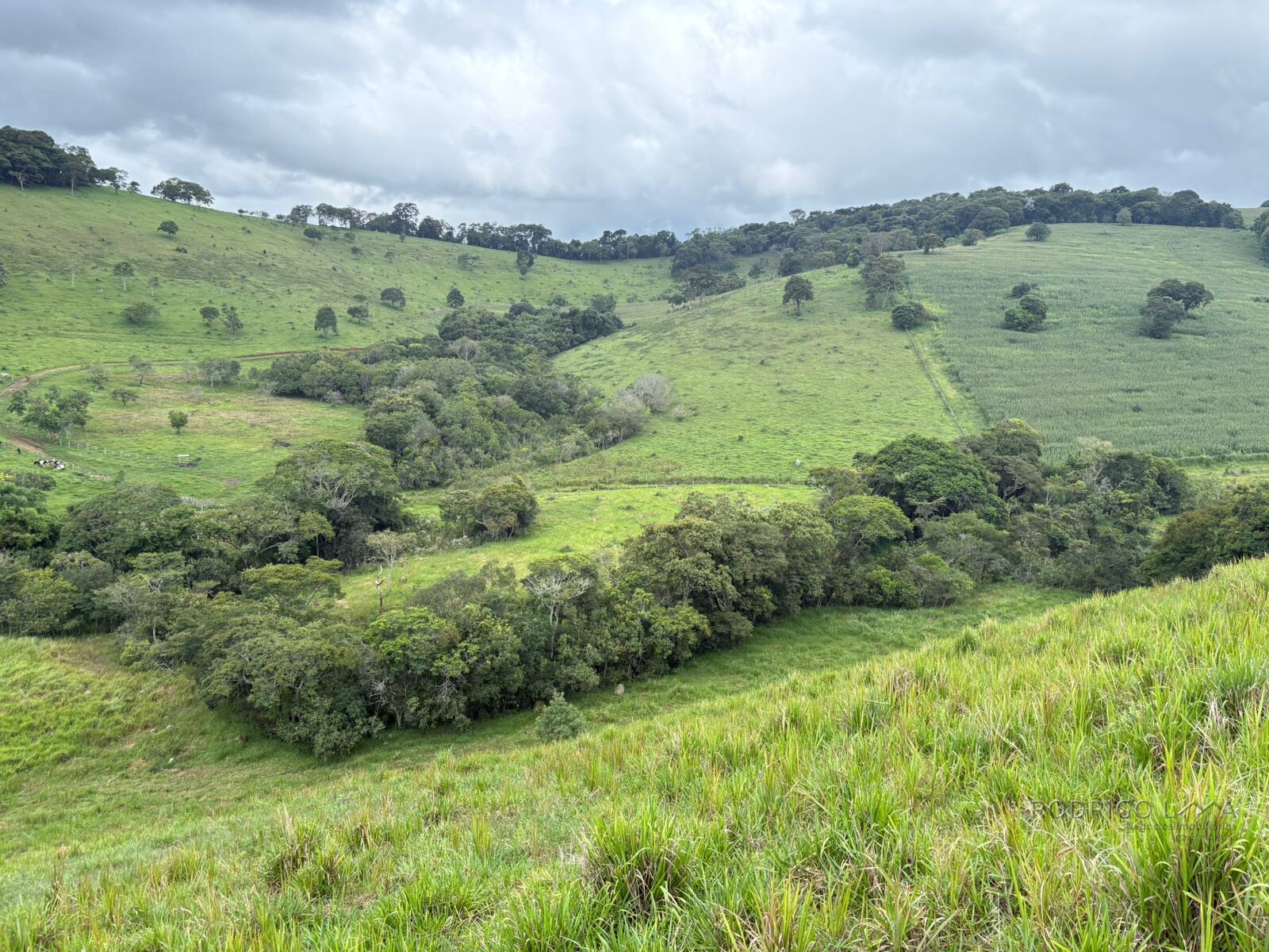 Área rural para venda em Dom Viçoso MG