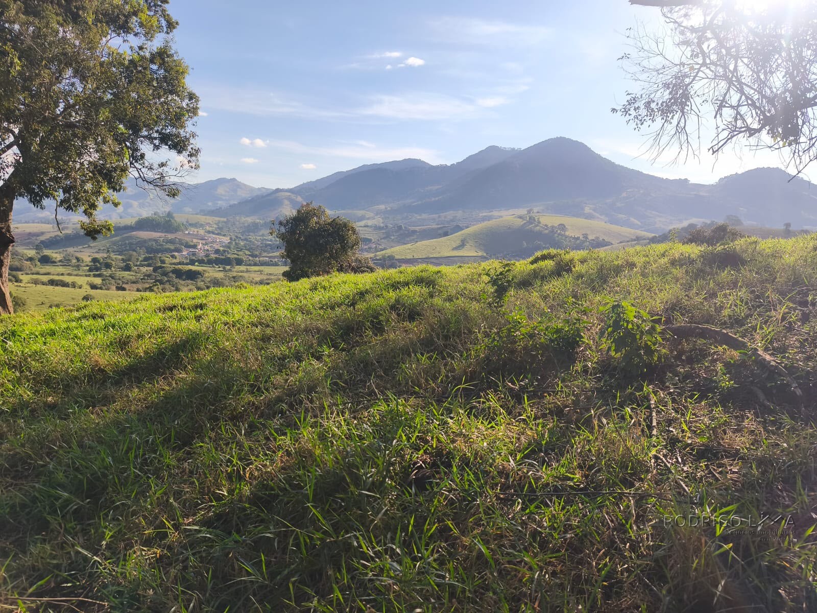 Área rural para venda em Dom Viçoso MG