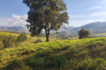 Área rural para venda em Dom Viçoso MG