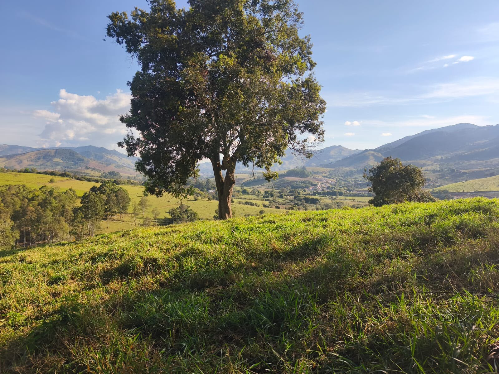 Área rural para venda em Dom Viçoso MG