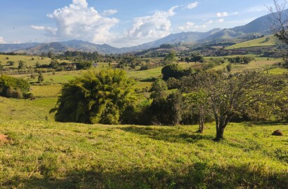 Área rural para venda em Dom Viçoso MG