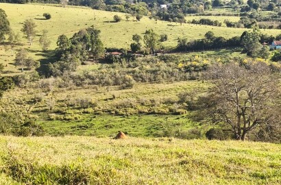 Área rural para venda em Dom Viçoso MG