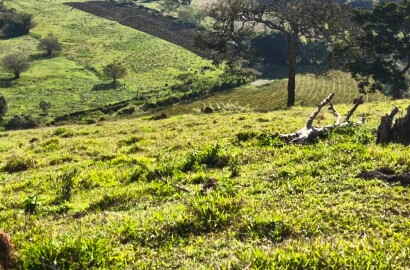 Área rural para venda em Dom Viçoso MG