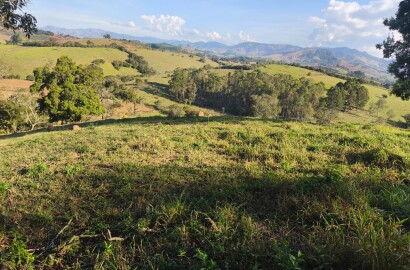 Área rural para venda em Dom Viçoso MG