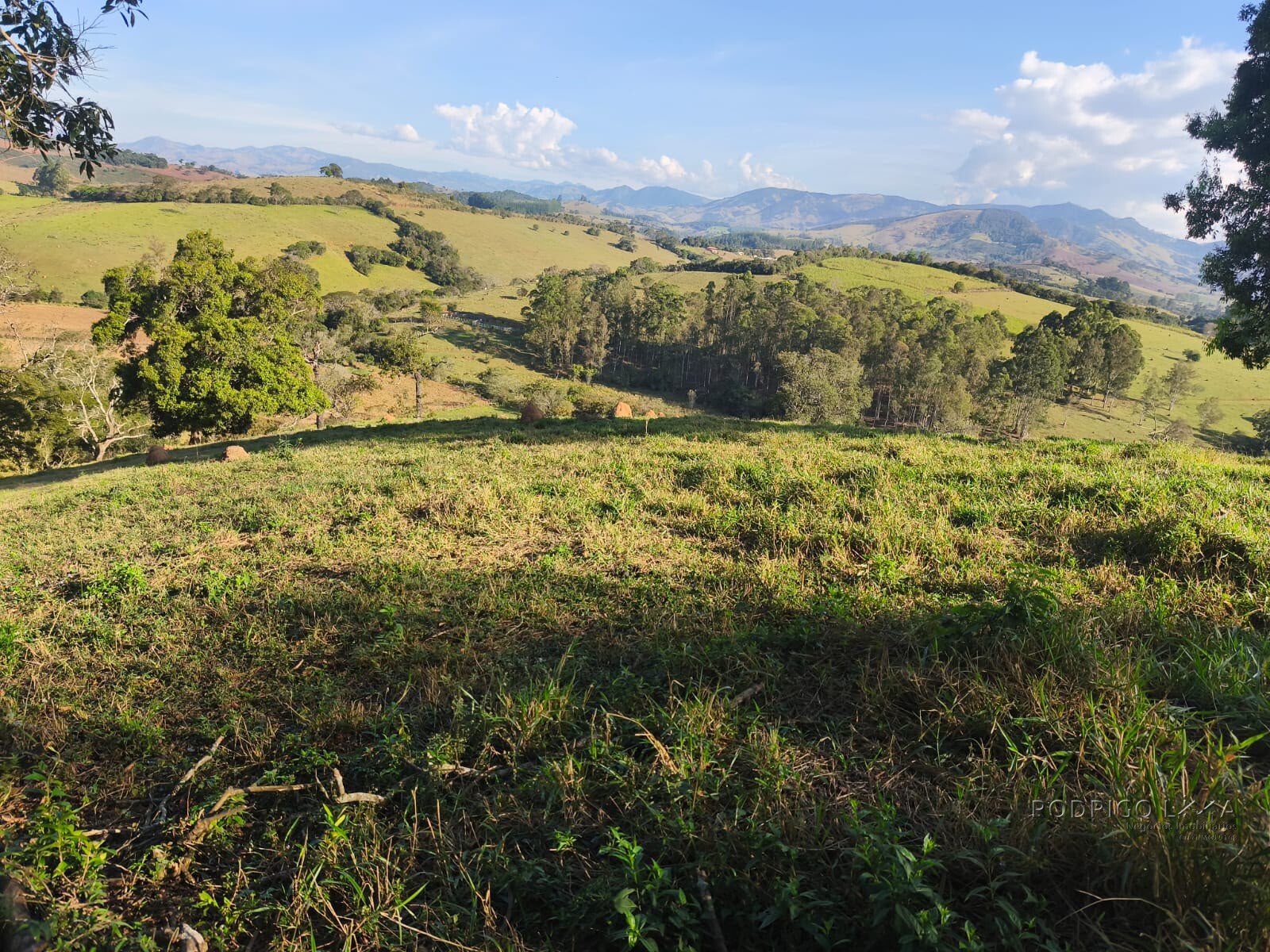 Área rural para venda em Dom Viçoso MG