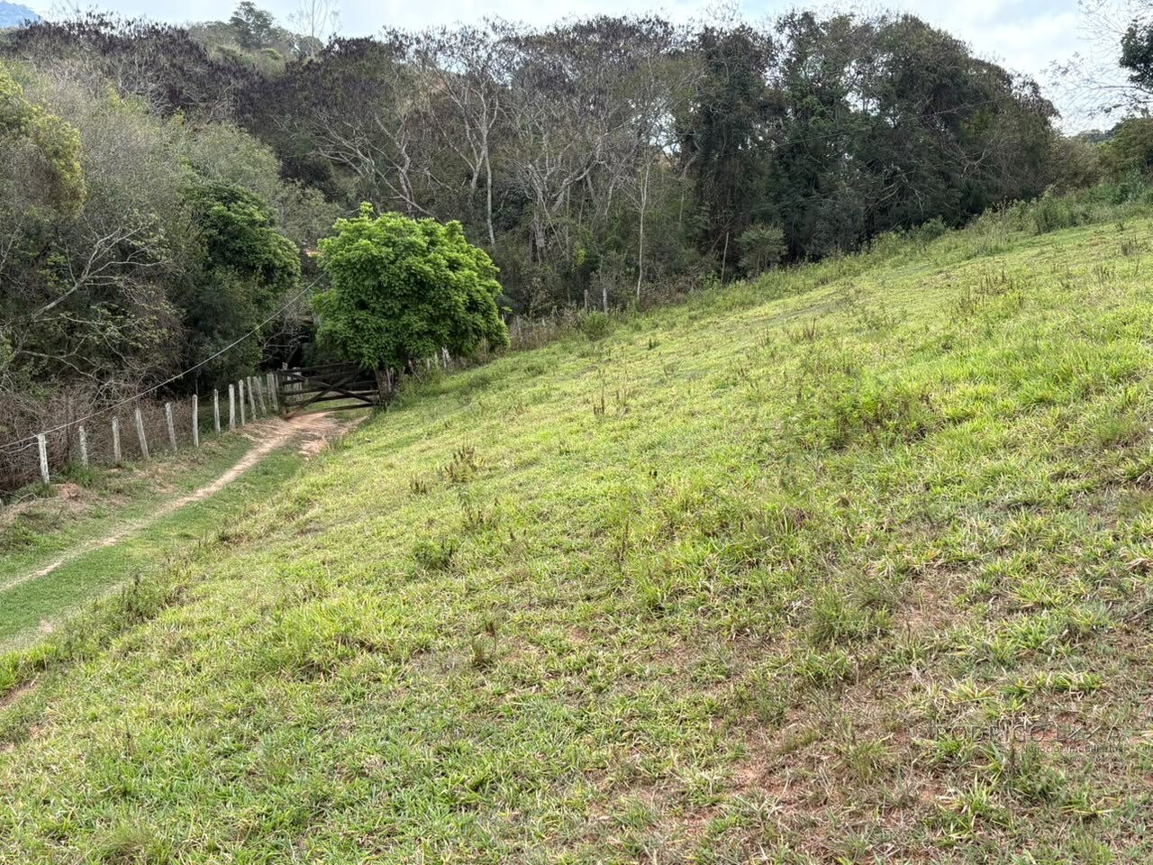 Área rural para venda em Dom Viçoso MG