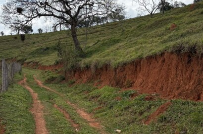 Área rural para venda em Dom Viçoso MG