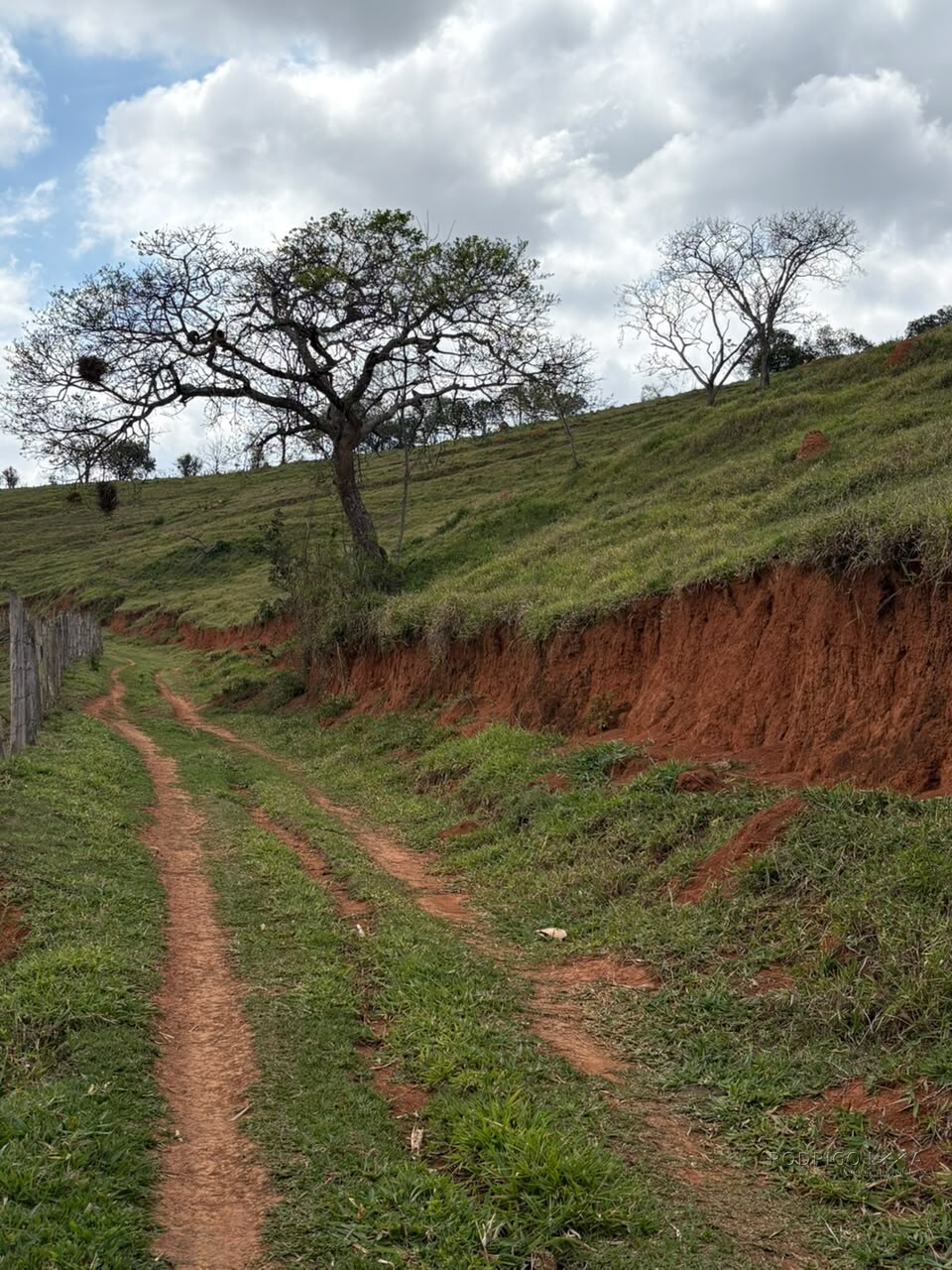 Área rural para venda em Dom Viçoso MG