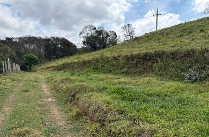 Área rural para venda em Dom Viçoso MG