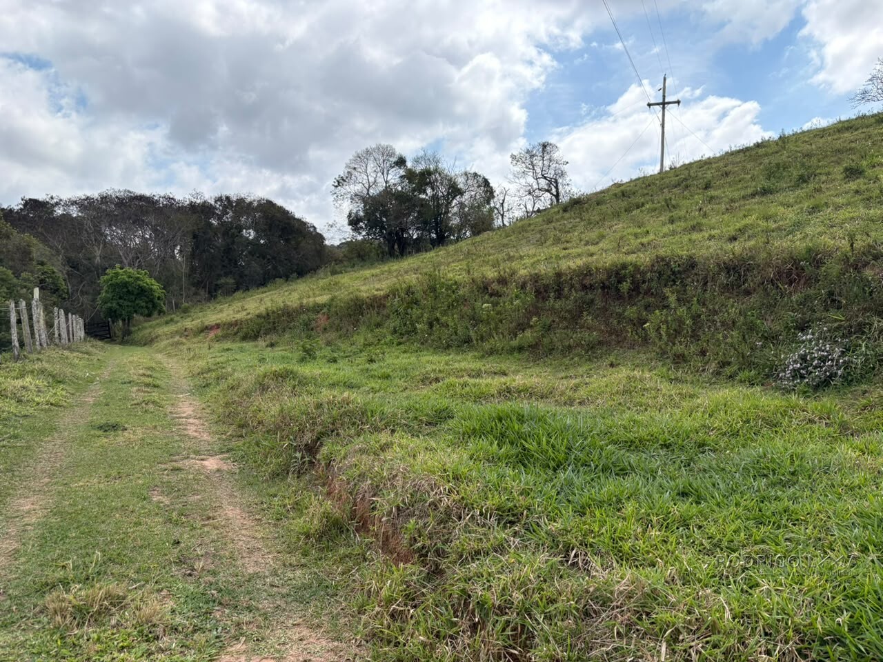 Área rural para venda em Dom Viçoso MG