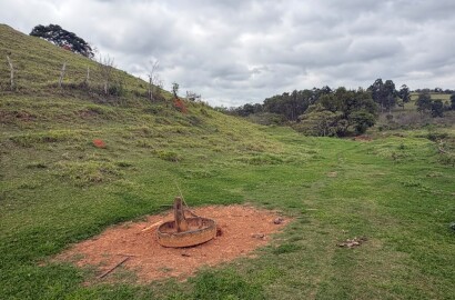 Área rural para venda em Dom Viçoso MG