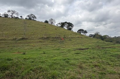 Área rural para venda em Dom Viçoso MG