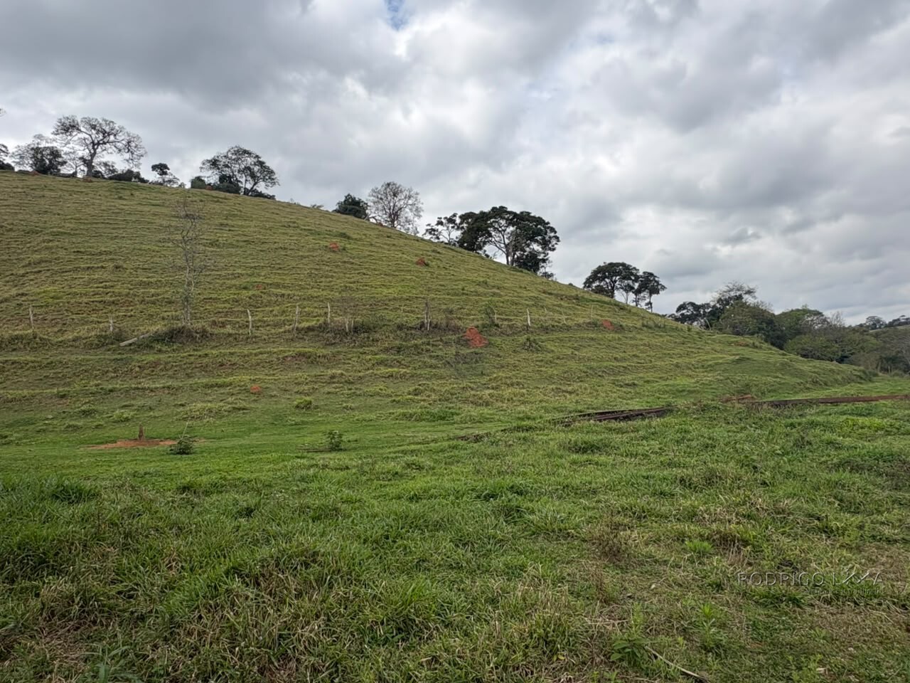 Área rural para venda em Dom Viçoso MG