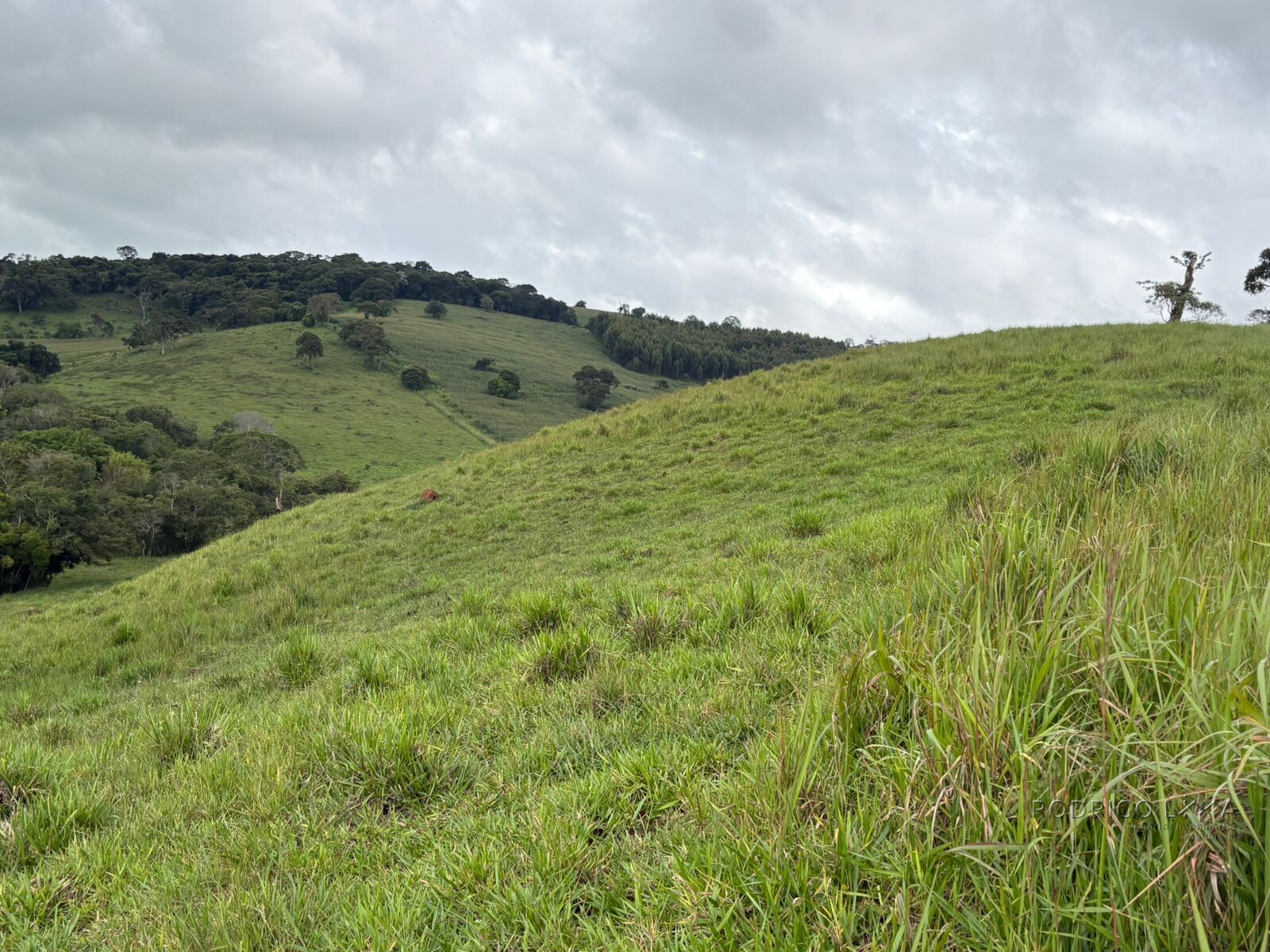 Área rural para venda em Dom Viçoso MG
