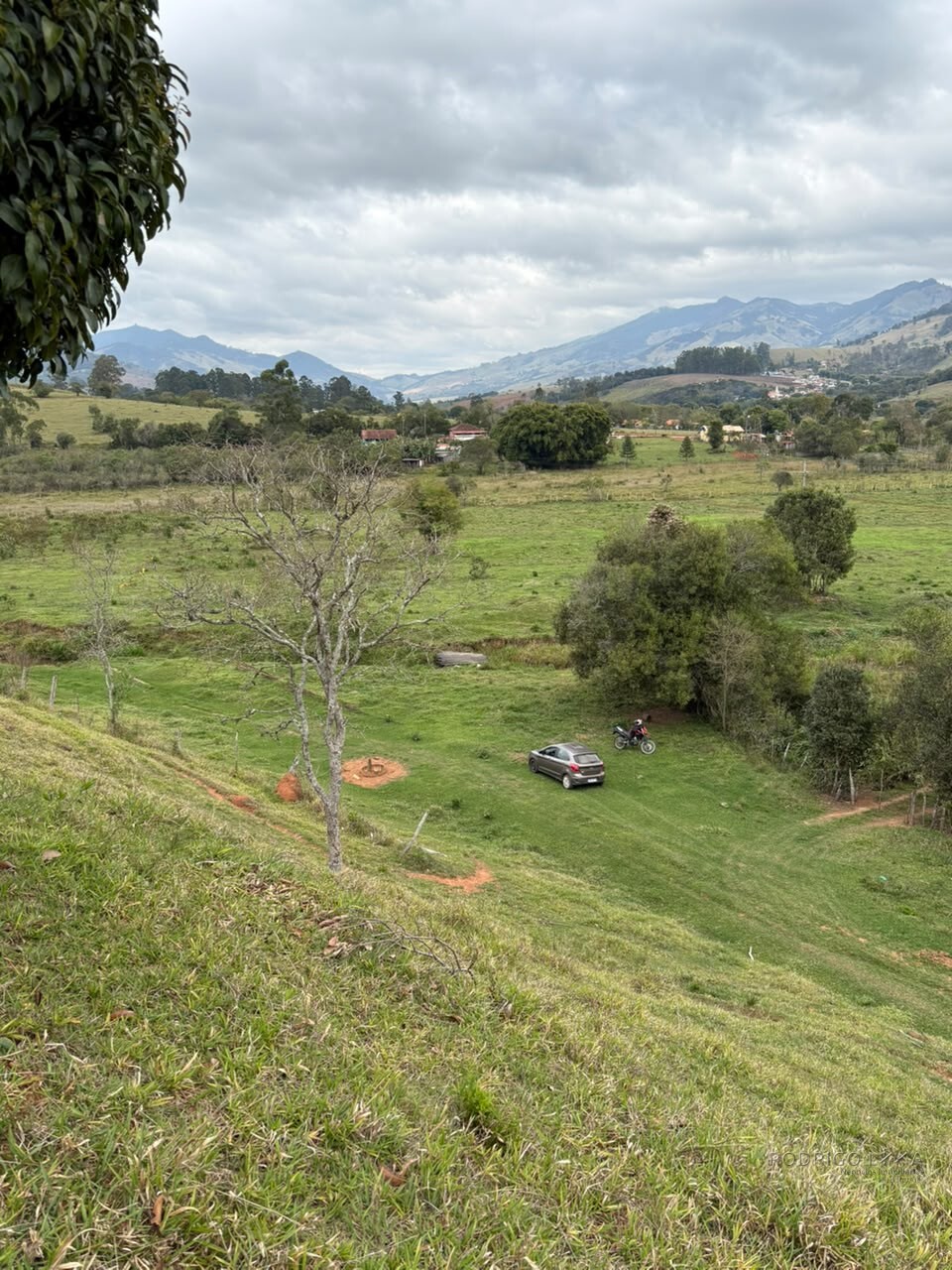 Área rural para venda em Dom Viçoso MG