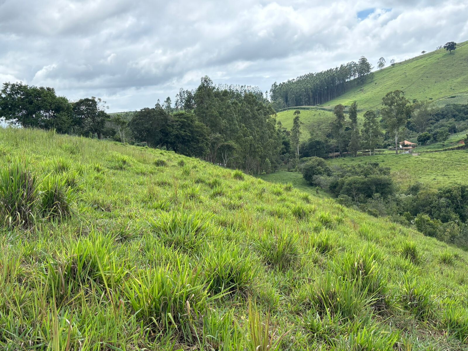 Área rural para venda em Dom Viçoso MG