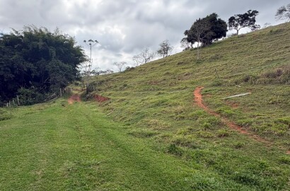 Área rural para venda em Dom Viçoso MG