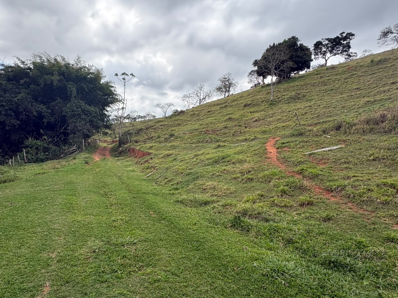 Área rural para venda em Dom Viçoso MG