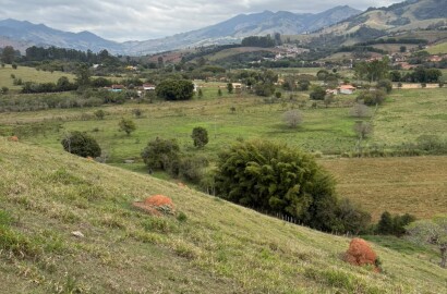 Área rural para venda em Dom Viçoso MG