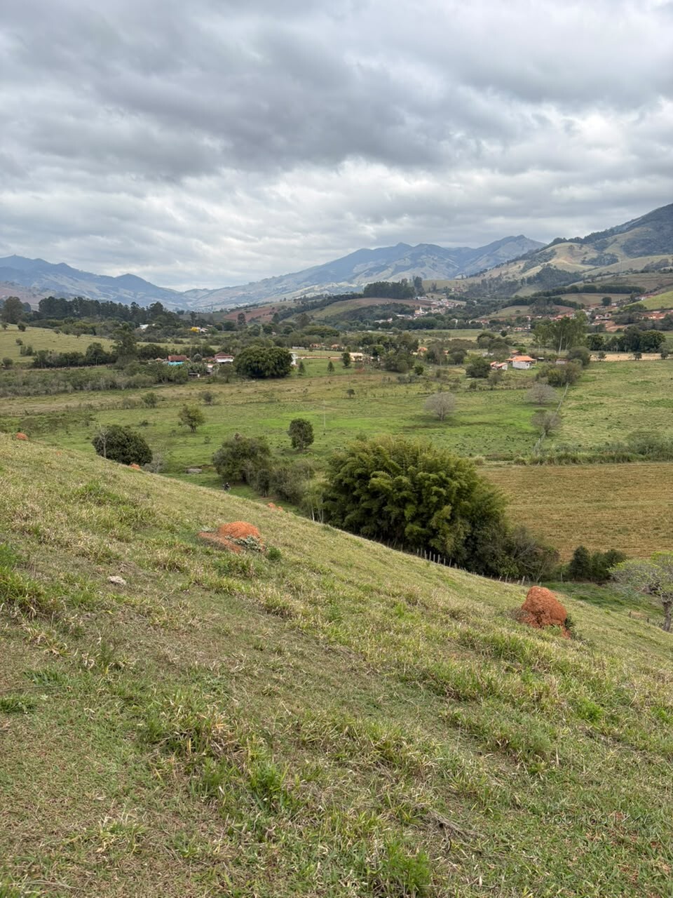 Área rural para venda em Dom Viçoso MG