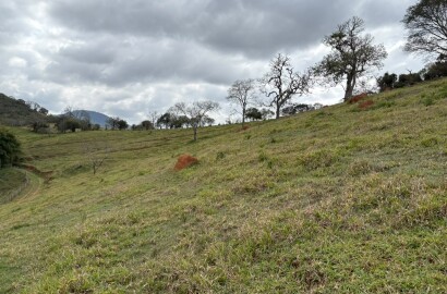 Área rural para venda em Dom Viçoso MG