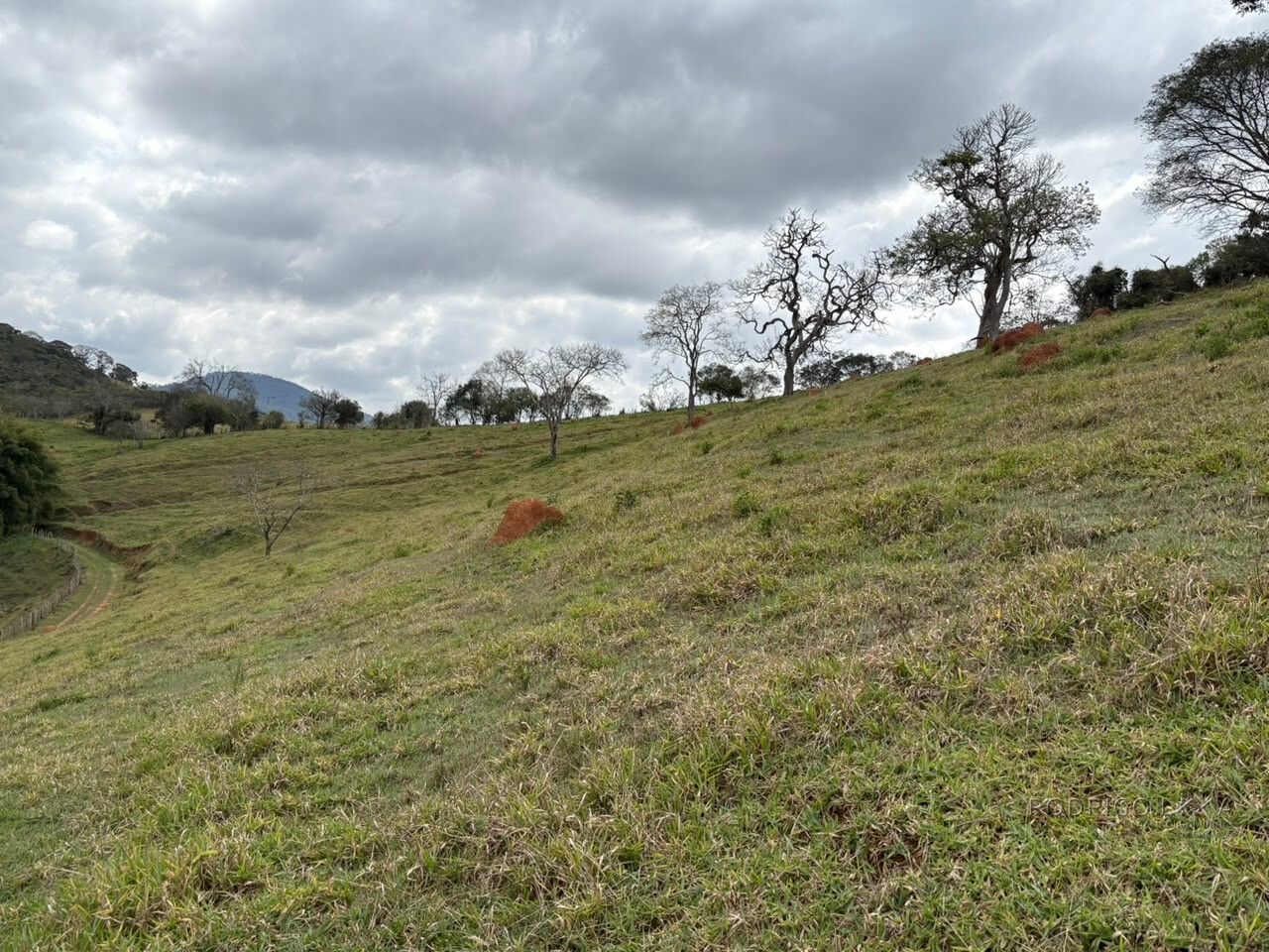 Área rural para venda em Dom Viçoso MG