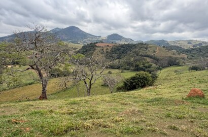 Área rural para venda em Dom Viçoso MG
