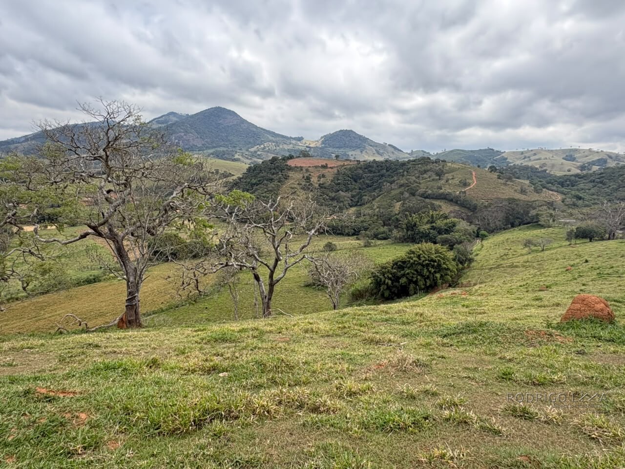 Área rural para venda em Dom Viçoso MG