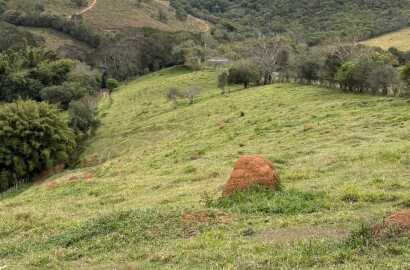 Área rural para venda em Dom Viçoso MG