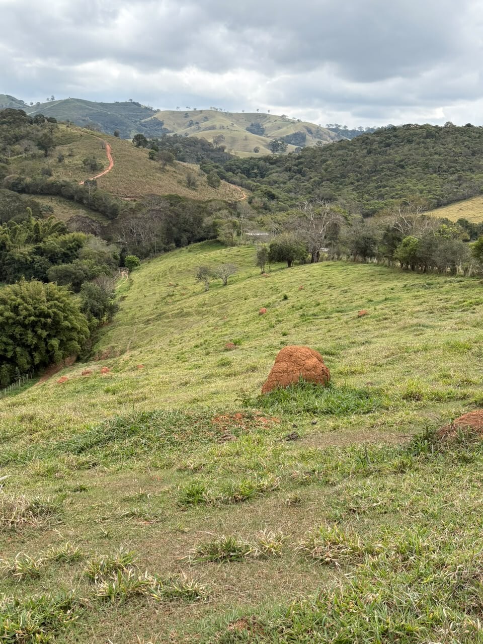 Área rural para venda em Dom Viçoso MG