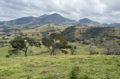 Área rural para venda em Dom Viçoso MG