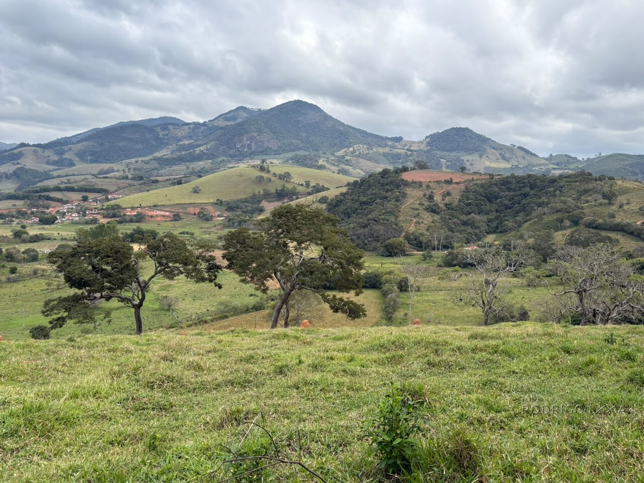 Área rural para venda em Dom Viçoso MG