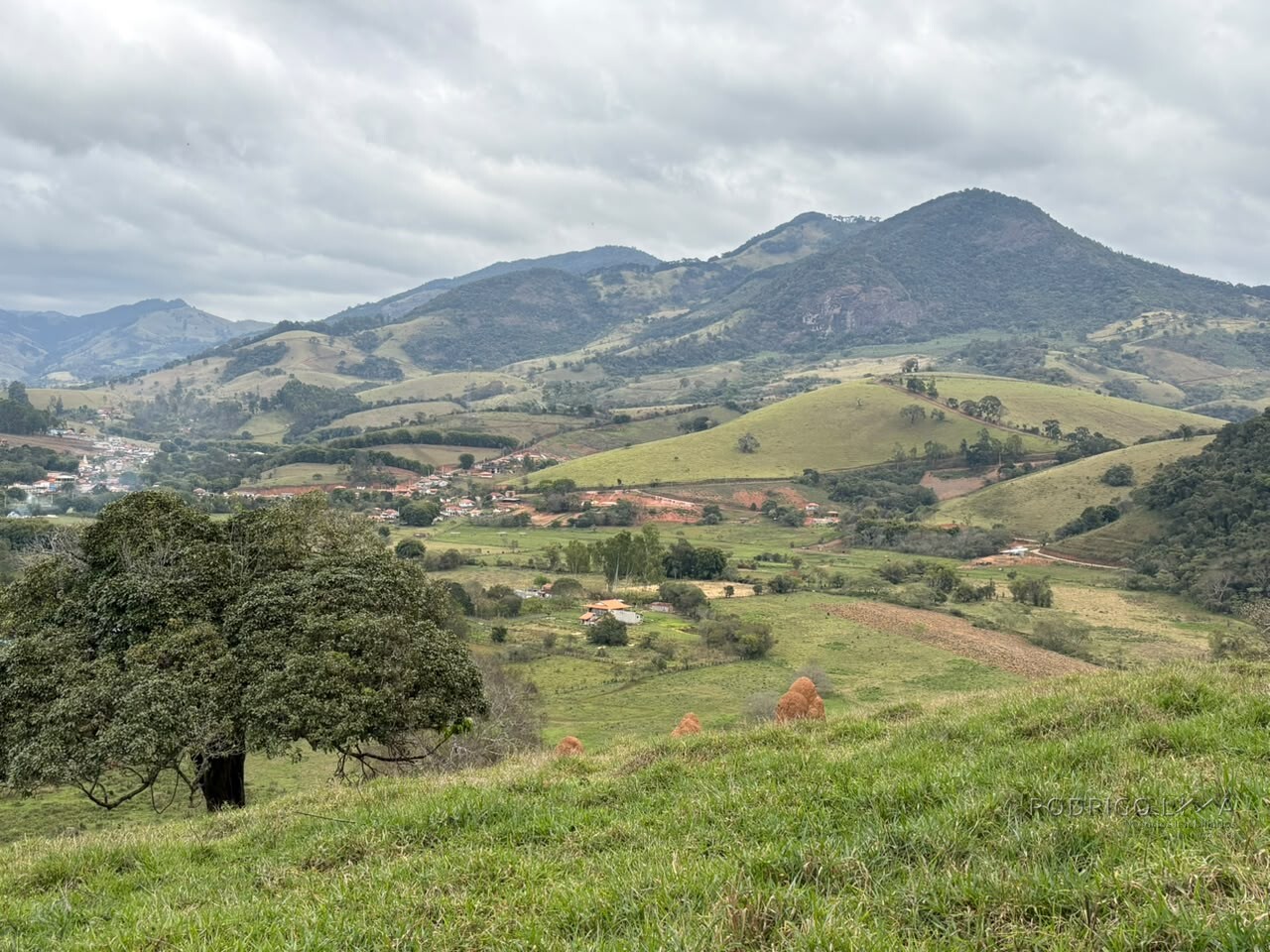 Área rural para venda em Dom Viçoso MG