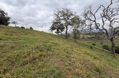 Área rural para venda em Dom Viçoso MG
