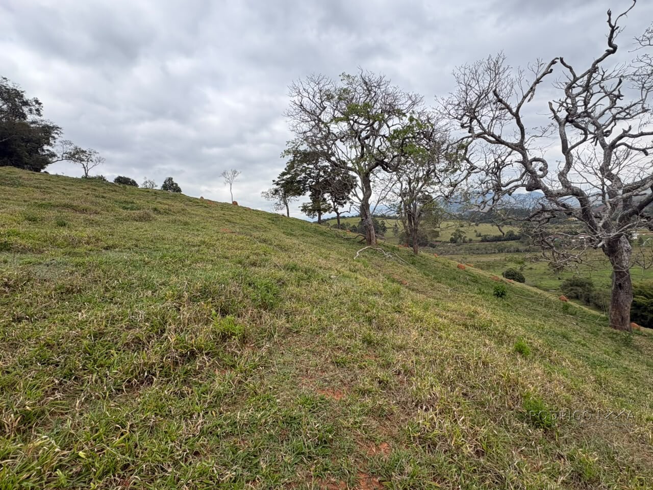 Área rural para venda em Dom Viçoso MG