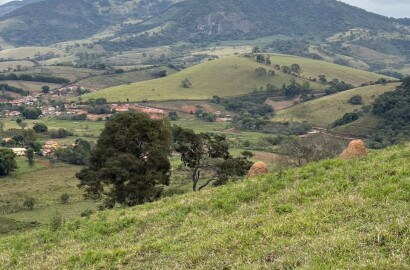 Área rural para venda em Dom Viçoso MG