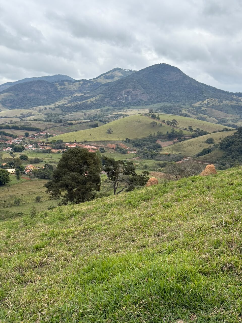 Área rural para venda em Dom Viçoso MG