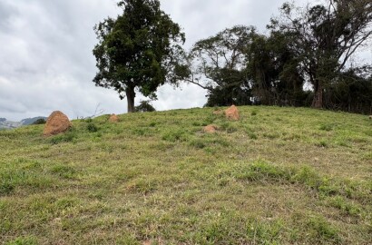 Área rural para venda em Dom Viçoso MG