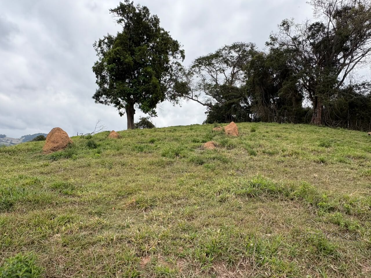 Área rural para venda em Dom Viçoso MG