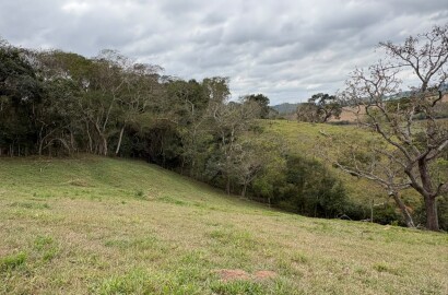 Área rural para venda em Dom Viçoso MG