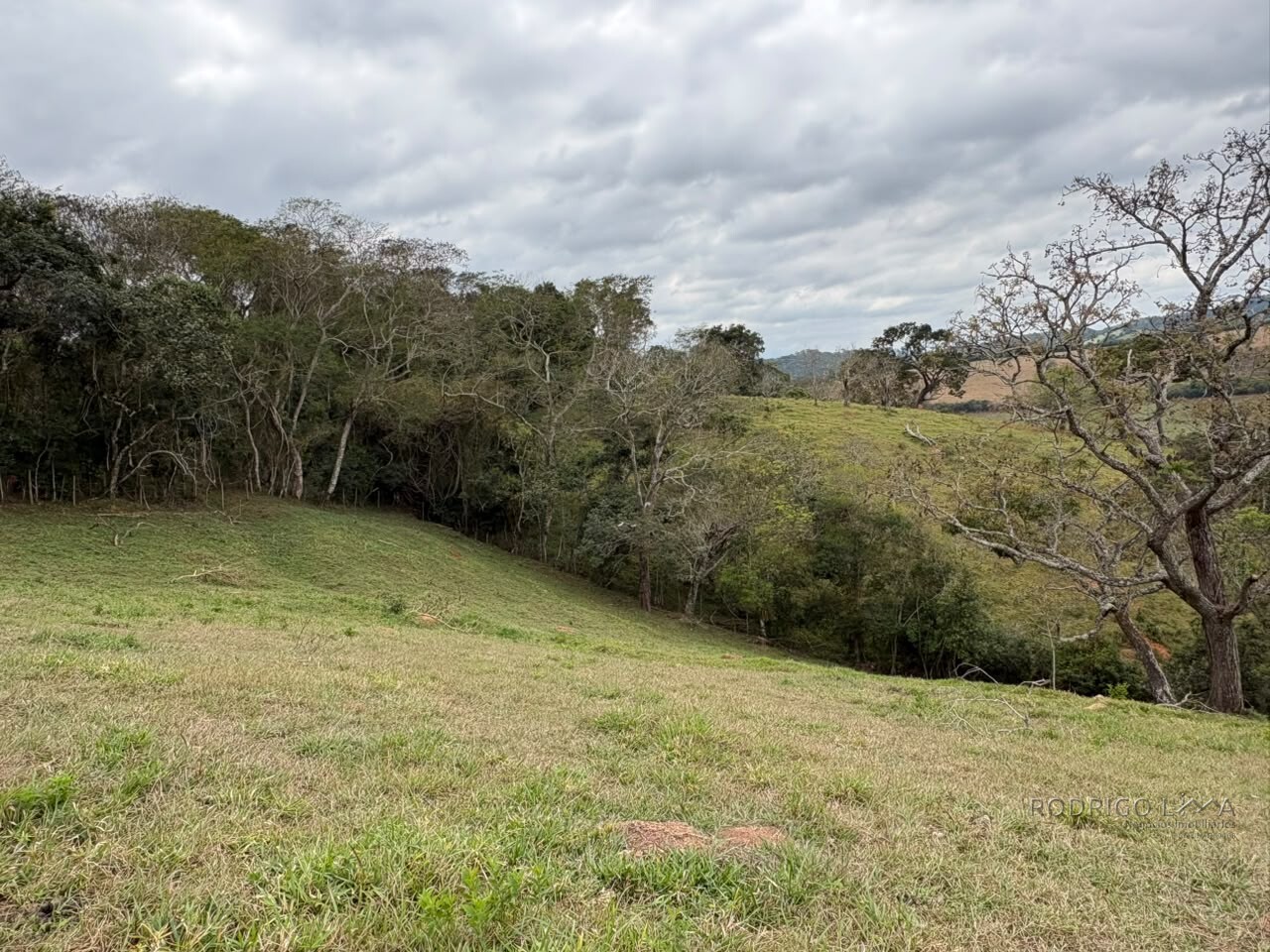 Área rural para venda em Dom Viçoso MG