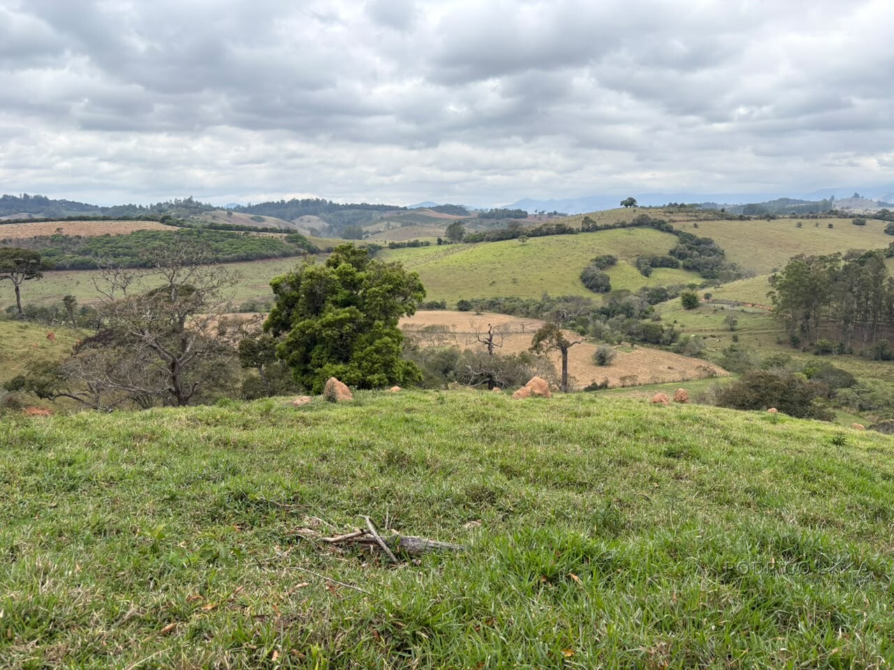 Área rural para venda em Dom Viçoso MG