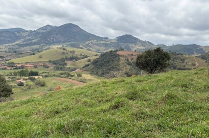 Área rural para venda em Dom Viçoso MG