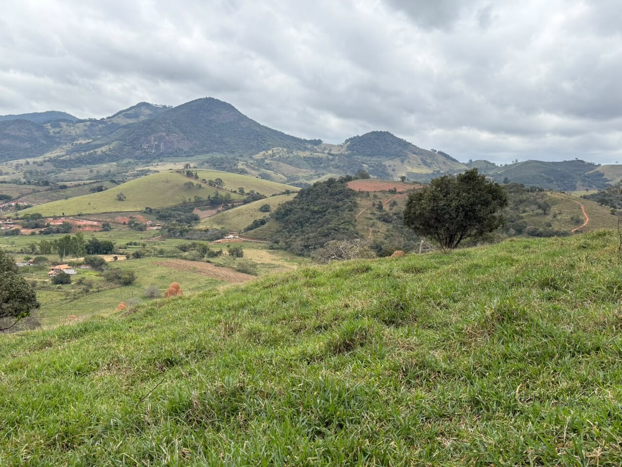 Área rural para venda em Dom Viçoso MG