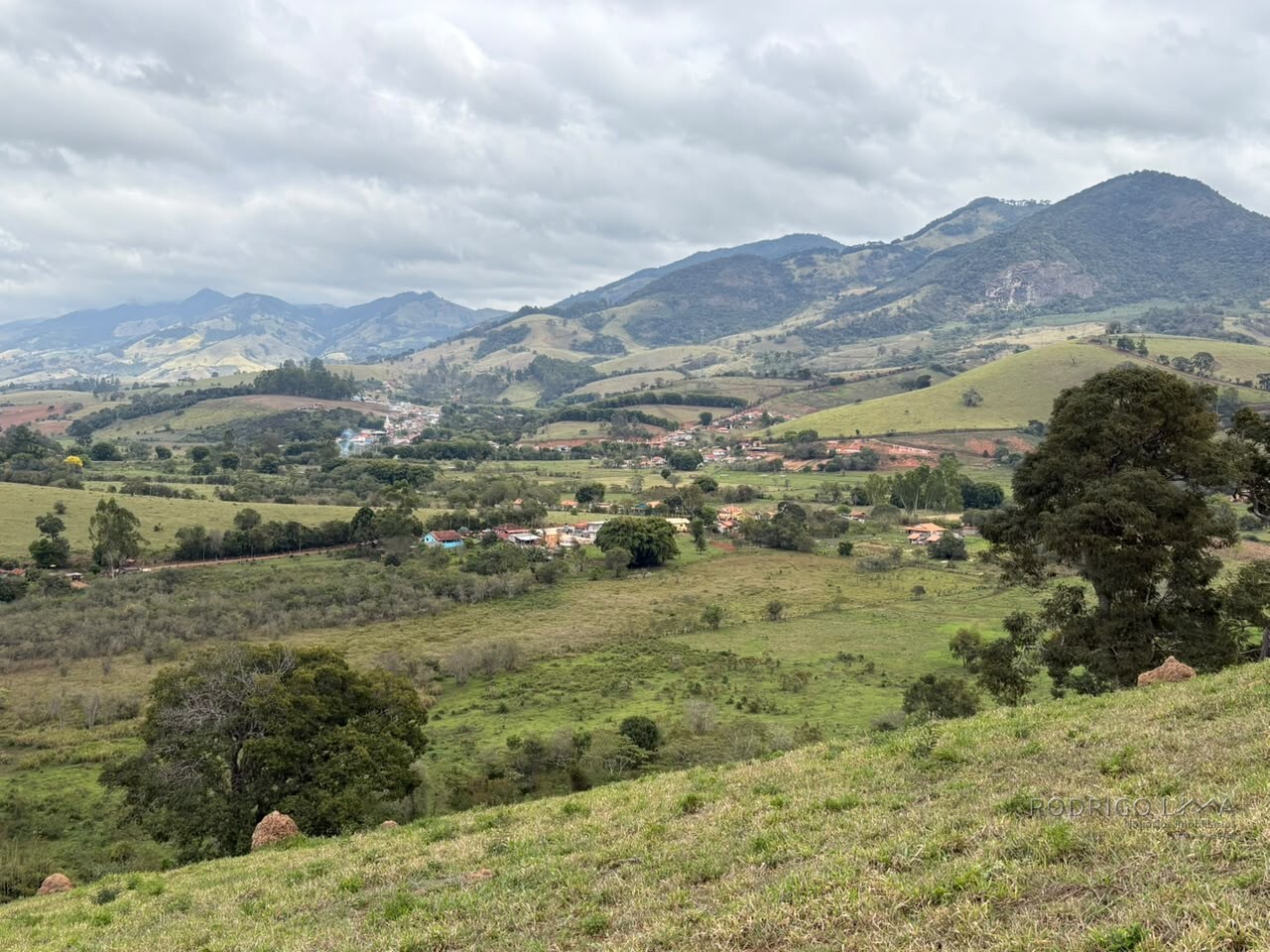 Área rural para venda em Dom Viçoso MG