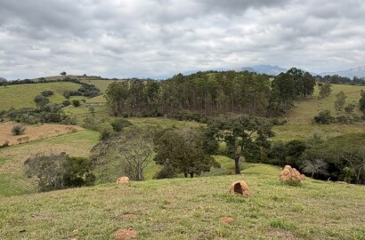 Área rural para venda em Dom Viçoso MG
