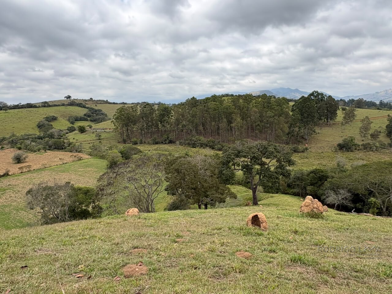 Área rural para venda em Dom Viçoso MG