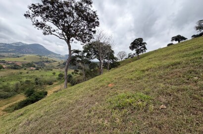 Área rural para venda em Dom Viçoso MG